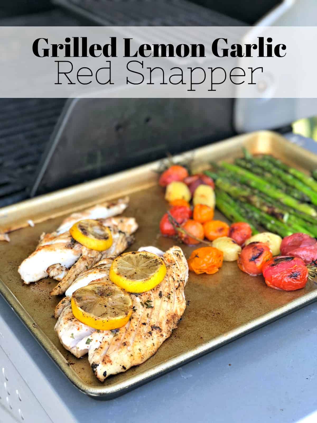 Best Grilled Red Snapper - How To Make Grilled Red Snapper